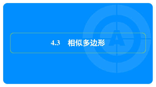 2023年北师大版九年级上册数学第四章图形的相似第3节相似多边形