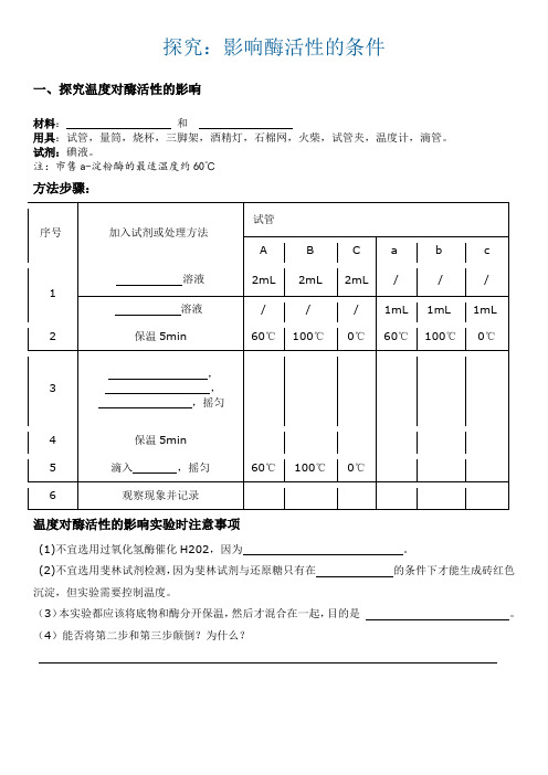 影响酶活性的条件