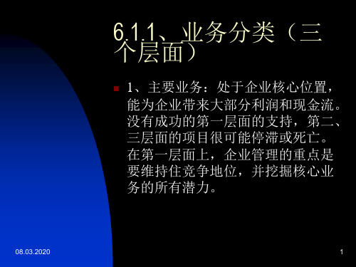 业务组合的竞争战略-82页文档资料