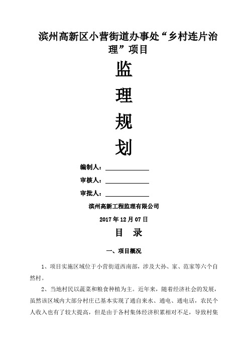 乡村连片治理项目监理规划