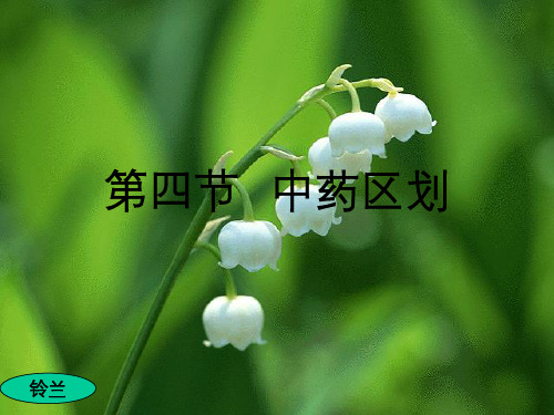 第四节 中药区划(上)