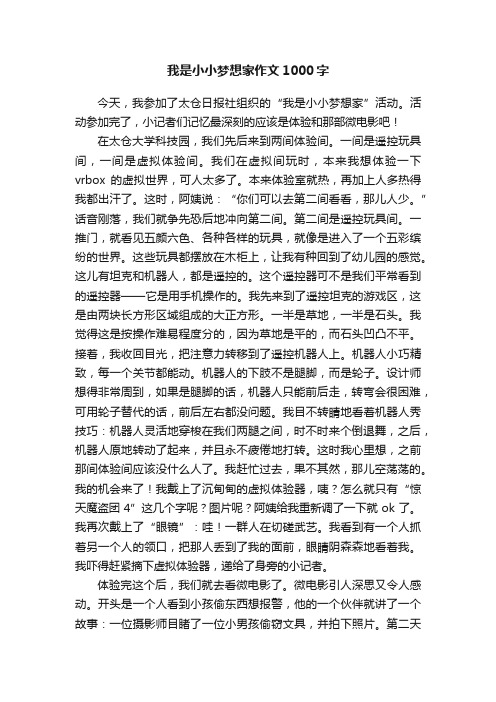 我是小小梦想家作文1000字