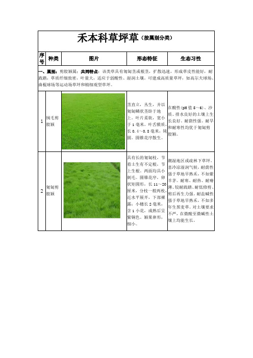 禾本科草坪草作业