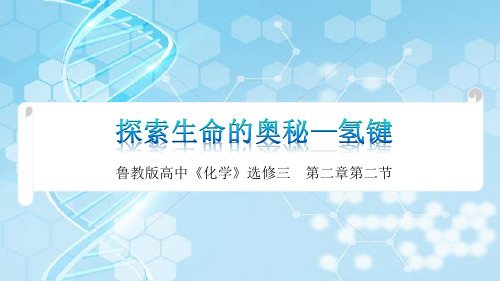 2.2.3氢键与物质性质+2023-2024学年高二下学期化学鲁科版(2019)选择性必修2