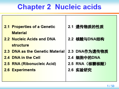 英汉对照分子生物学导论Chapter2