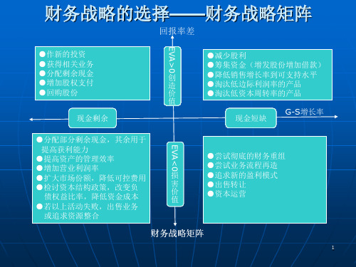 财务战略的选择——财务战略矩阵ppt课件