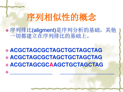 序列相似性的概念