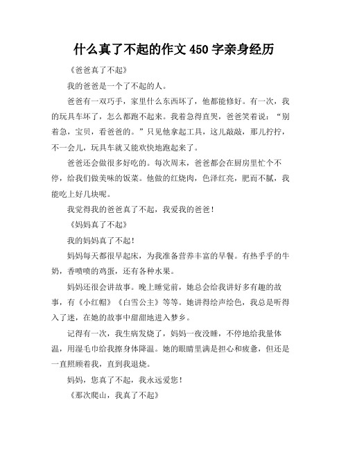 什么真了不起的作文450字亲身经历