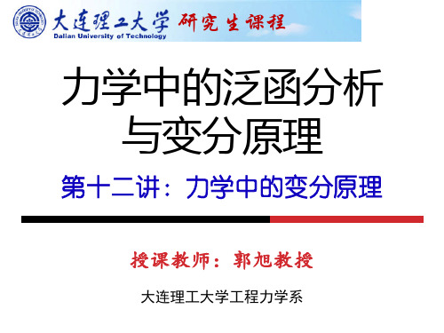 力学中的泛函分析和变分原理第十二讲