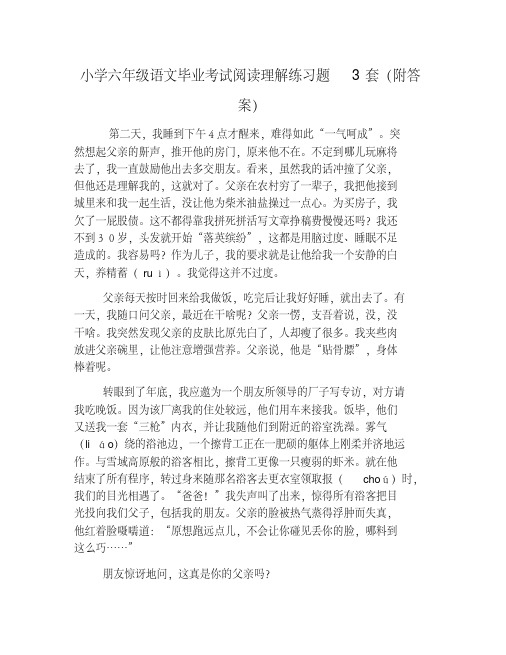 小学六年级语文毕业考试阅读理解练习题3套(附答案)