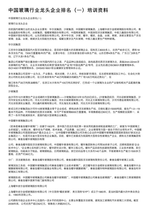 中国玻璃行业龙头企业排名（一）培训资料