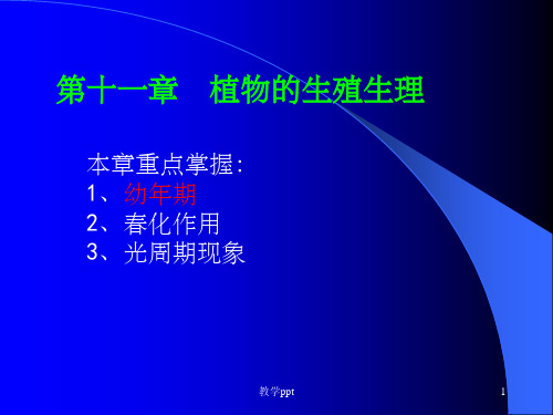 成人高考专升本民法真题及答案解析