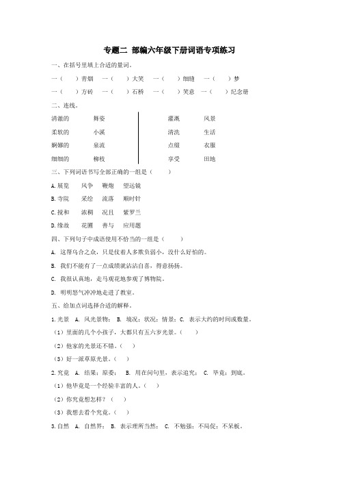 2020统编-部编版六年级下册语文：期末复习词语专项