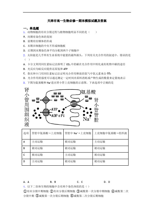 天津市高一生物必修一期末模拟试题及答案