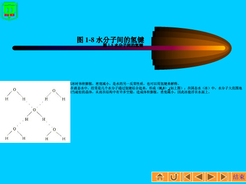 水分子间的氢键