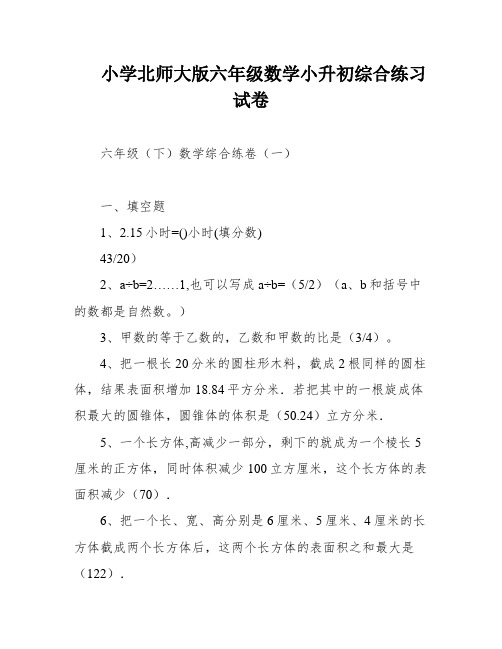 小学北师大版六年级数学小升初综合练习试卷