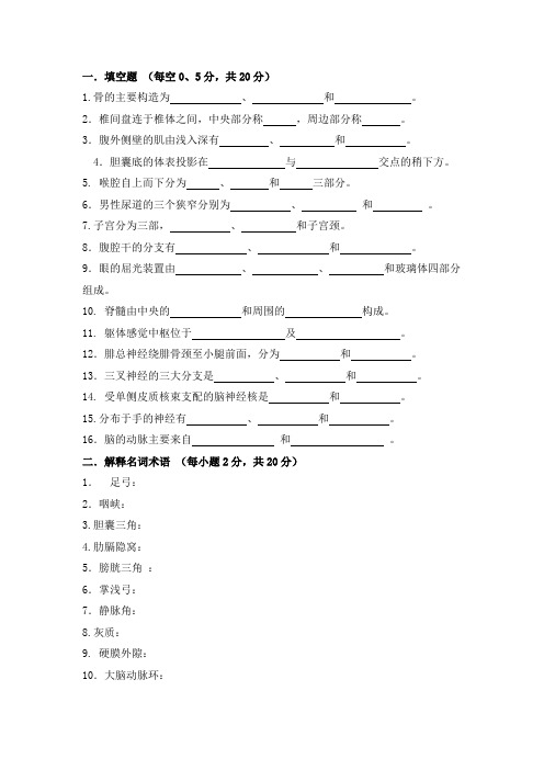 四川大学2021年《系统解剖学》期末考试试题及答案