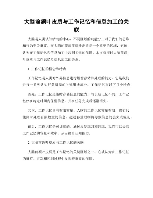 大脑前额叶皮质与工作记忆和信息加工的关联