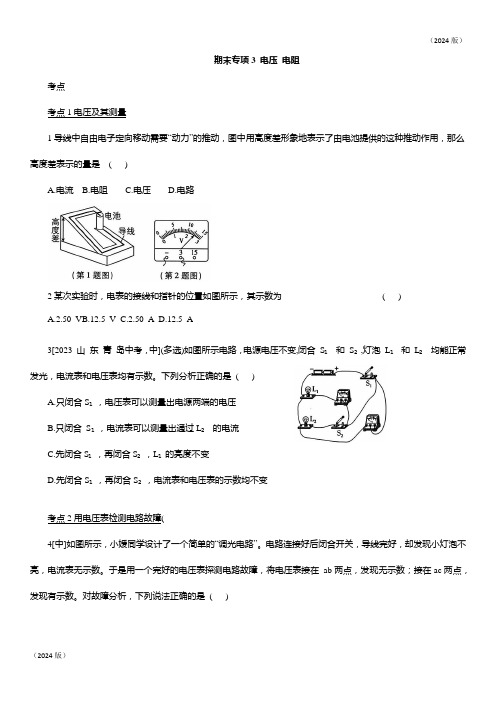 期末专项3 电压 电阻  (有解析) 人教版物理九年级全一册