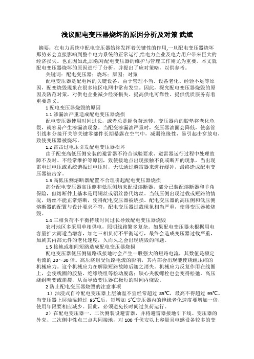 浅议配电变压器烧坏的原因分析及对策 武斌