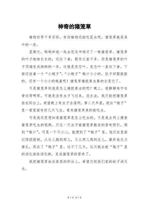 神奇的猪笼草_五年级作文