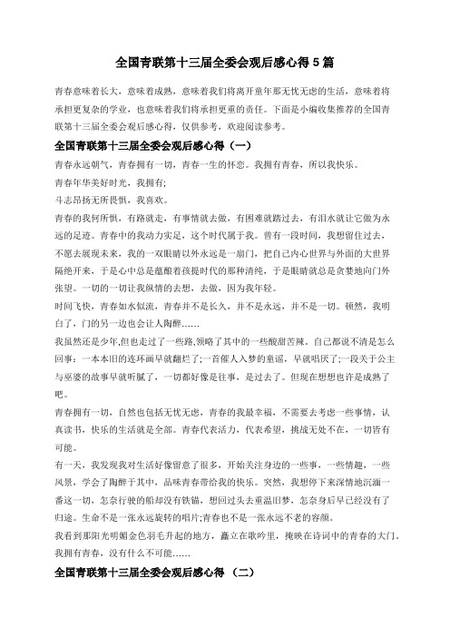 全国青联第十三届全委会观后感心得5篇