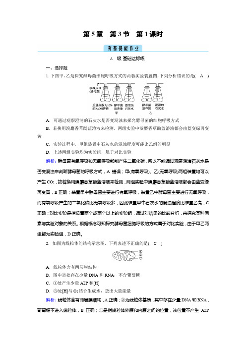 人教版高中生物必修第一册同步培优第5章第3节细胞呼吸的原理和应用第1课时细胞呼吸的方式和有氧呼吸过程