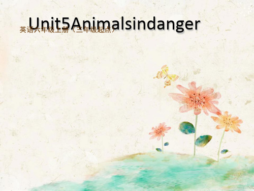 沪教版小学六年级英语上册 《Animals in danger》PPT课件 