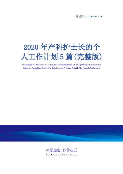 2020年产科护士长的个人工作计划5篇(完整版)