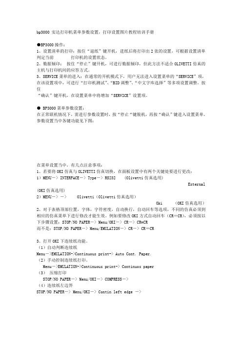 bp3000 实达打印机菜单参数设置