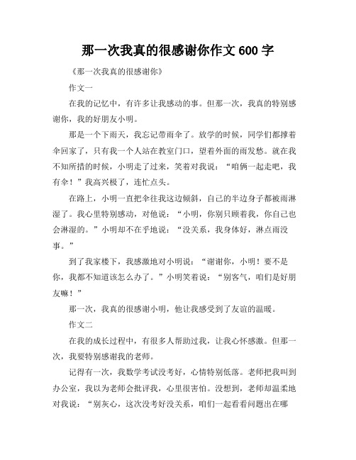 那一次我真的很感谢你作文600字