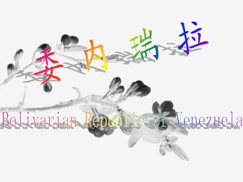 委内瑞拉介绍