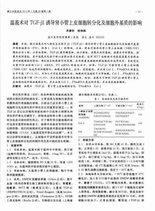 温莪术对TGF-β诱导肾小管上皮细胞转分化及细胞外基质的影响