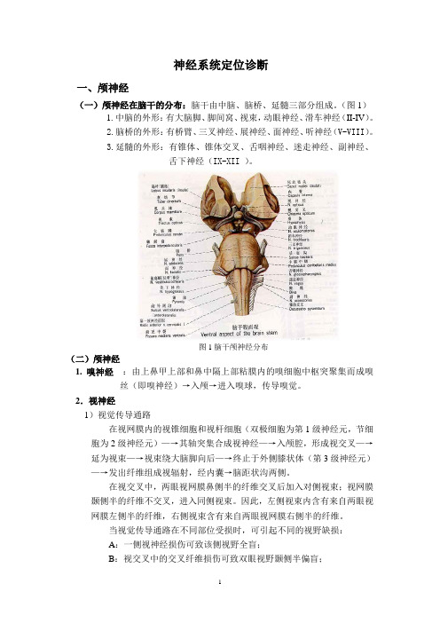 神经系统定位诊断