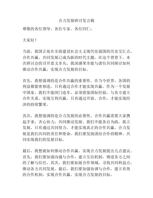 合力发展研讨发言稿