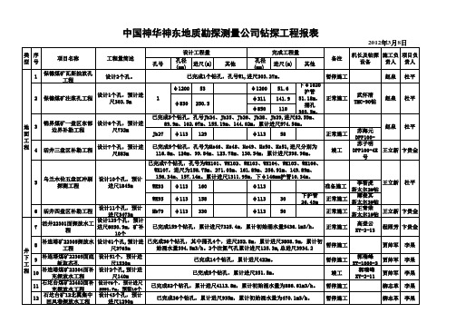 2012年钻探工程(周报表)(1)