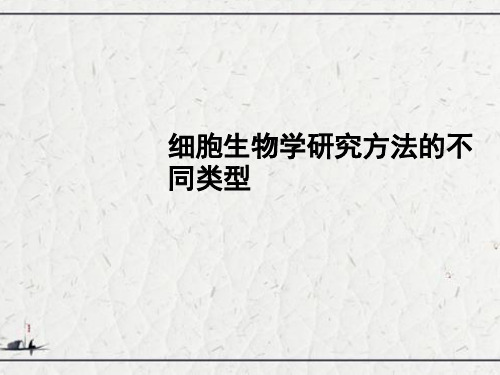 细胞生物学研究方法的不同类型