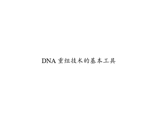 DNA重组技术的基本工具课件