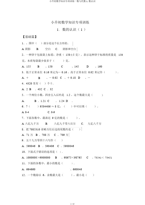 小升初数学知识专项训练一数与代数1.数认识