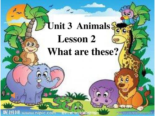 鲁科版小学英语三年级下册Unit 3《Lesson 2 What are these》课件