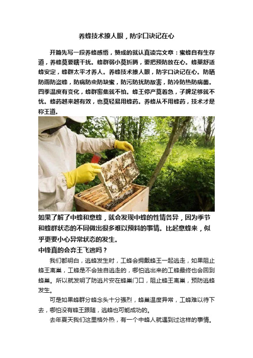 养蜂技术撩人眼，防字口诀记在心