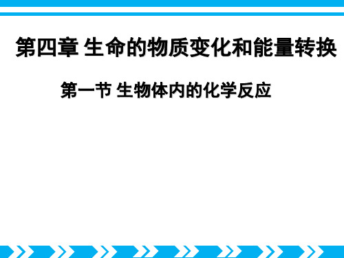 上海师范大学附属中学2016-2017学年沪科版生物第一册4.1《生物体内的化学反应》课件 (共15张PPT)