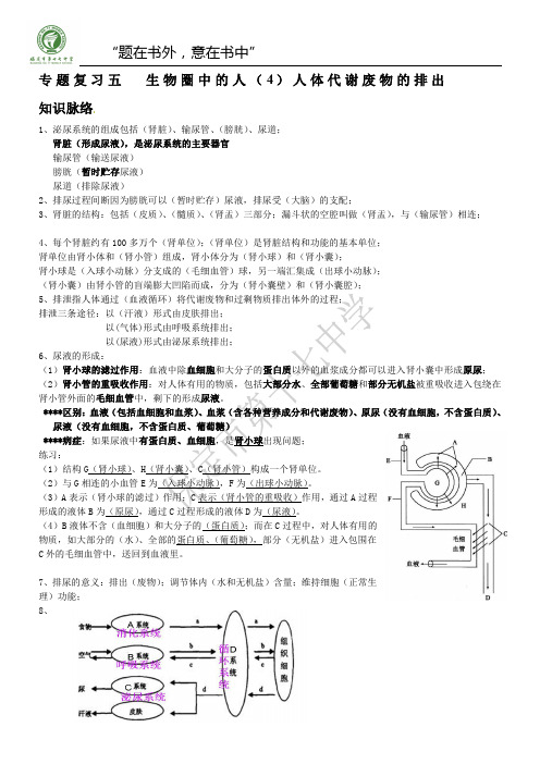 初一下生物第三章泌尿