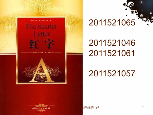 TheScarletLetter红字分析鉴赏 ppt课件