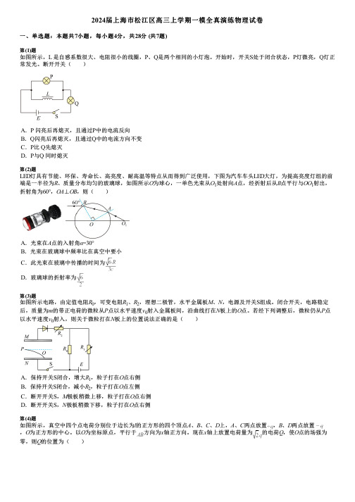 2024届上海市松江区高三上学期一模全真演练物理试卷