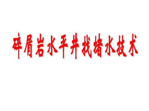 碎屑岩水平井找堵水技术