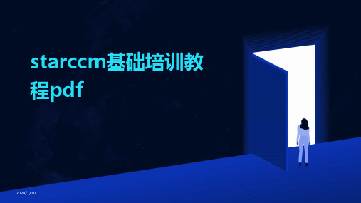 starccm基础培训教程pdf(2024)