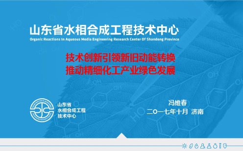 技术创新引领新旧动能转换推动精细化工产业绿色发展PPT(50张)