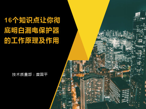 16个知识点让你彻底明白漏电保护器的工作原理及作用-糜国平