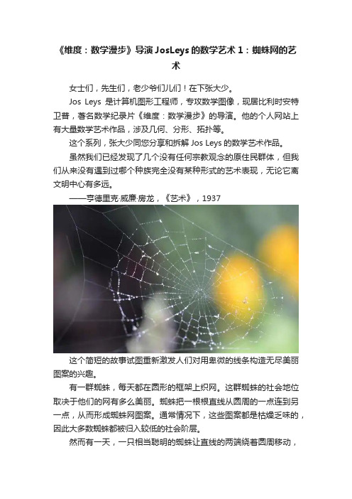 《维度：数学漫步》导演JosLeys的数学艺术1：蜘蛛网的艺术